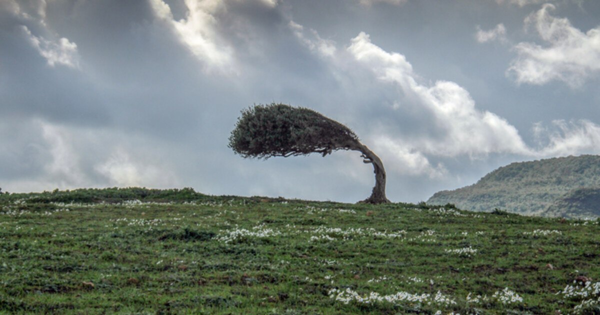 Featured Image