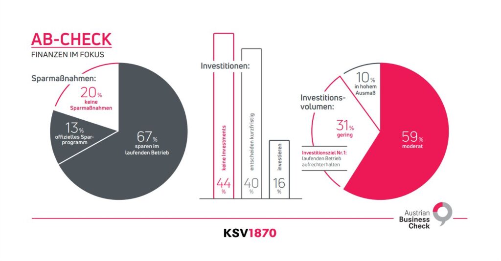 Diagramme zur Veranschaulichung der Finanzlage von Unternehmen.