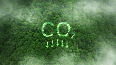 CO2 + Pfeile nach unten geschrieben auf einem Wald aus Vogelperspektive