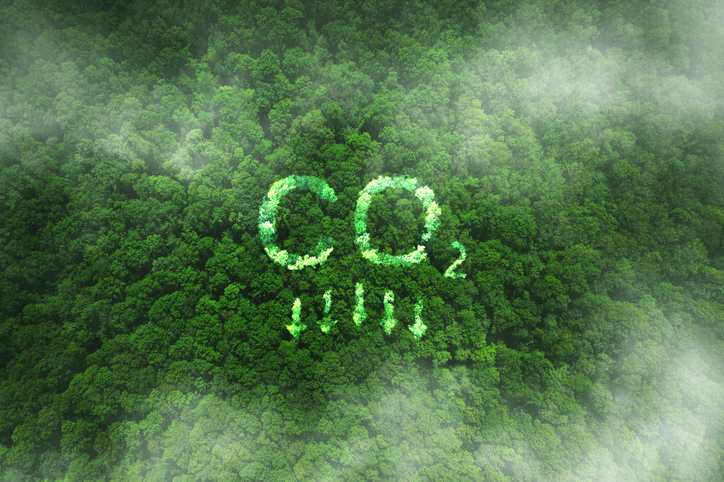 CO2 + Pfeile nach unten geschrieben auf einem Wald aus Vogelperspektive